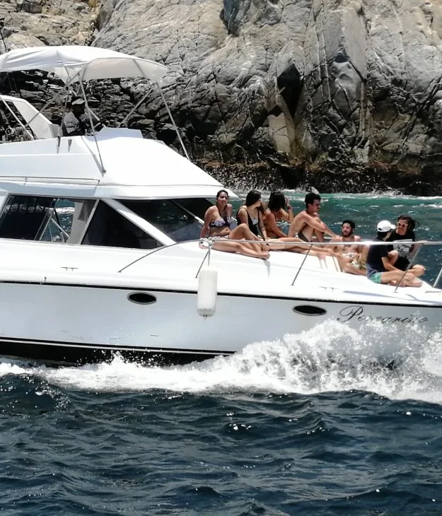 Bay Tours