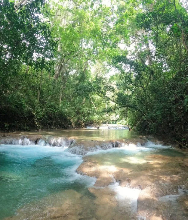 Waterfall Nature Hike